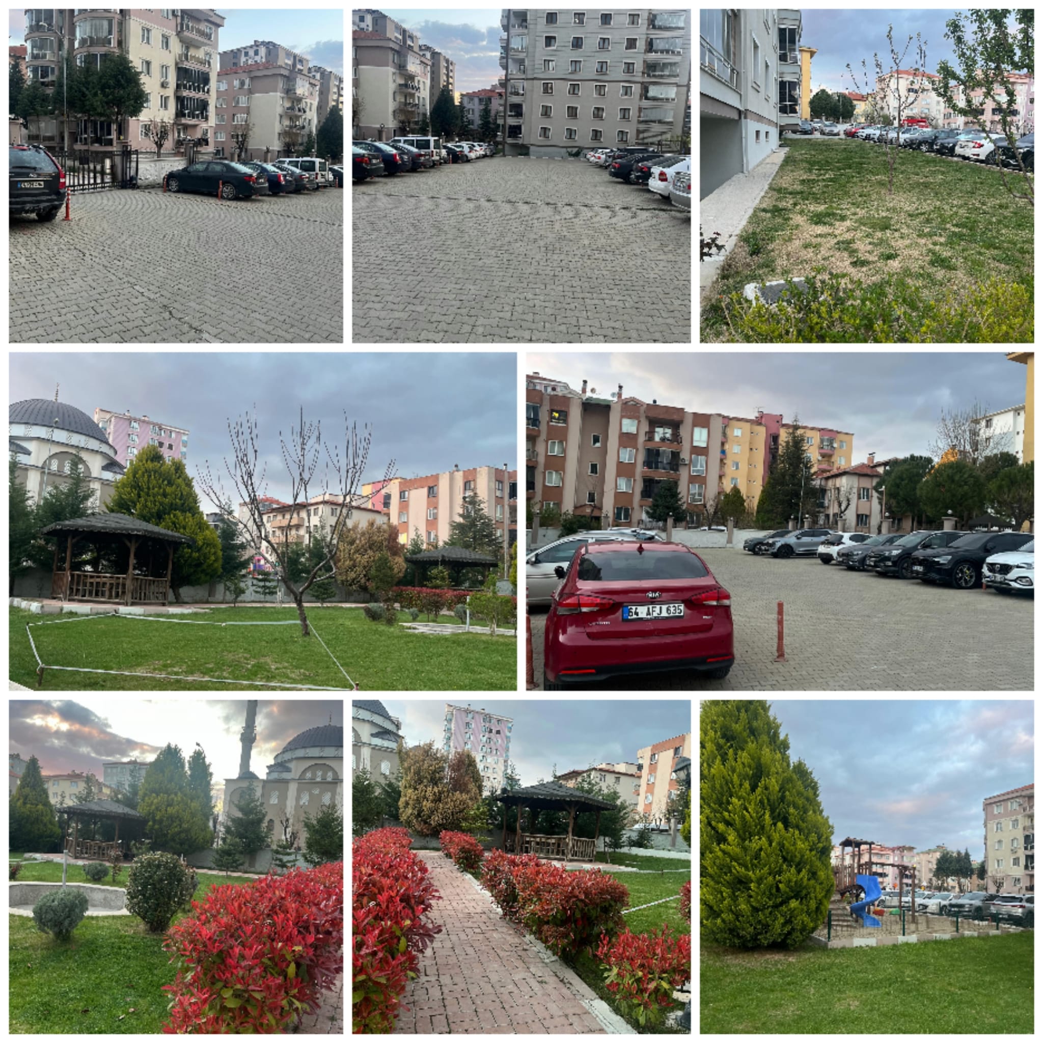 Fotoğraf 8